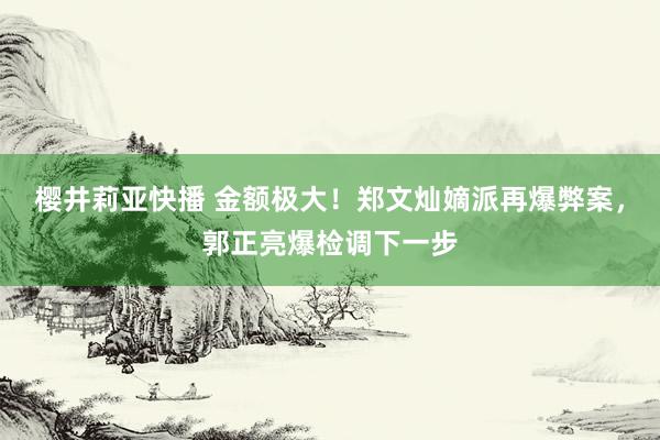 樱井莉亚快播 金额极大！郑文灿嫡派再爆弊案，郭正亮爆检调下一步