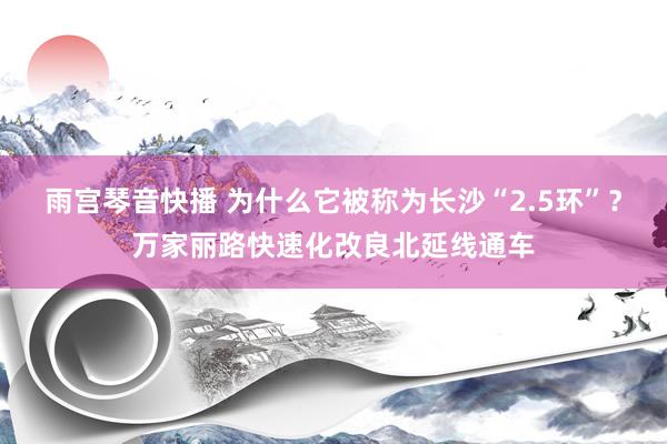 雨宫琴音快播 为什么它被称为长沙“2.5环”？万家丽路快速化改良北延线通车