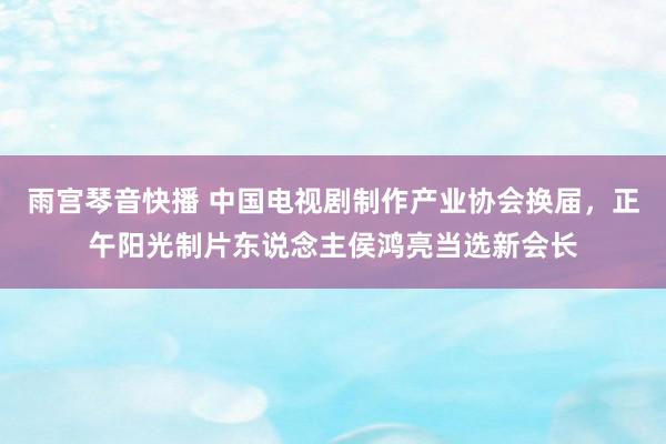 雨宫琴音快播 中国电视剧制作产业协会换届，正午阳光制片东说念主侯鸿亮当选新会长