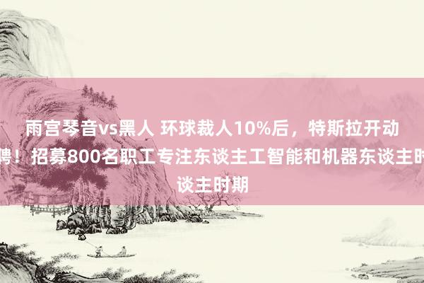 雨宫琴音vs黑人 环球裁人10%后，特斯拉开动招聘！招募800名职工专注东谈主工智能和机器东谈主时期