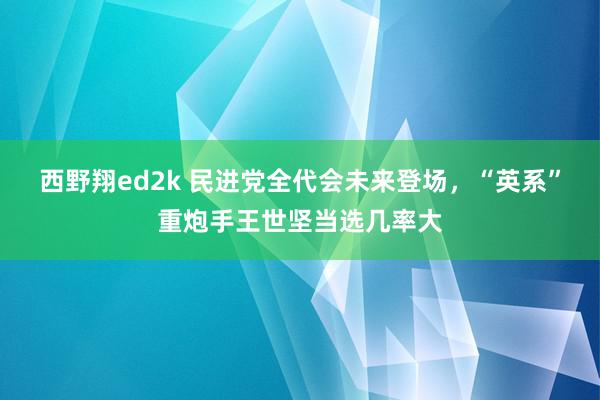 西野翔ed2k 民进党全代会未来登场，“英系”重炮手王世坚当选几率大