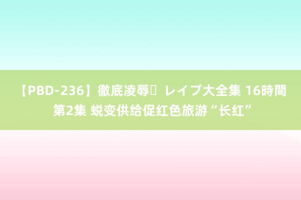 【PBD-236】徹底凌辱・レイプ大全集 16時間 第2集 蜕变供给促红色旅游“长红”