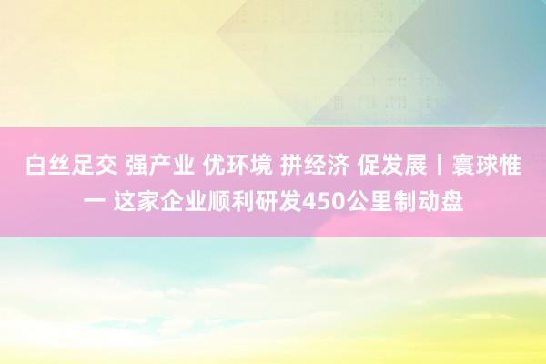 白丝足交 强产业 优环境 拼经济 促发展丨寰球惟一 这家企业顺利研发450公里制动盘