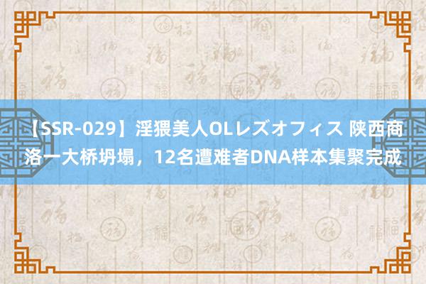 【SSR-029】淫猥美人OLレズオフィス 陕西商洛一大桥坍塌，12名遭难者DNA样本集聚完成