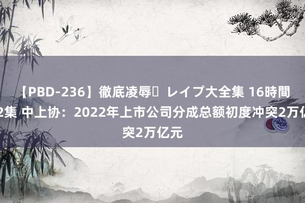 【PBD-236】徹底凌辱・レイプ大全集 16時間 第2集 中上协：2022年上市公司分成总额初度冲突2万亿元