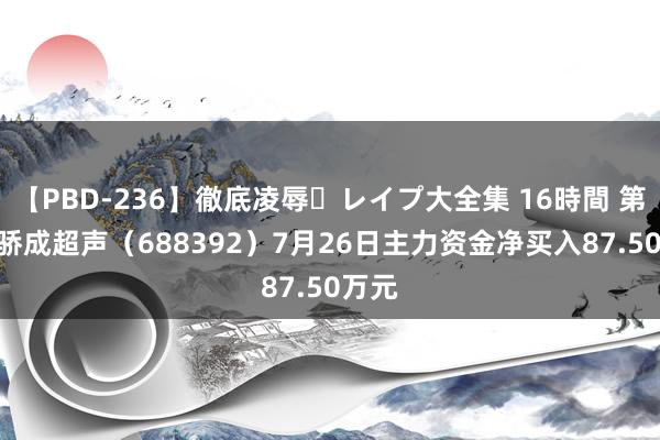 【PBD-236】徹底凌辱・レイプ大全集 16時間 第2集 骄成超声（688392）7月26日主力资金净买入87.50万元