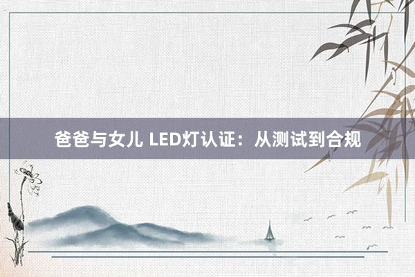 爸爸与女儿 LED灯认证：从测试到合规