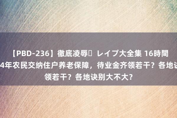 【PBD-236】徹底凌辱・レイプ大全集 16時間 第2集 2024年农民交纳住户养老保障，待业金齐领若干？各地诀别大不大？