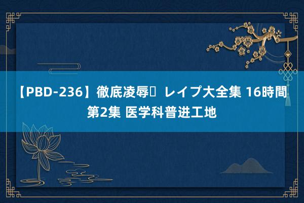 【PBD-236】徹底凌辱・レイプ大全集 16時間 第2集 医学科普进工地