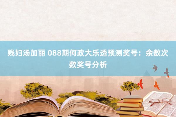 贱妇汤加丽 088期何政大乐透预测奖号：余数次数奖号分析