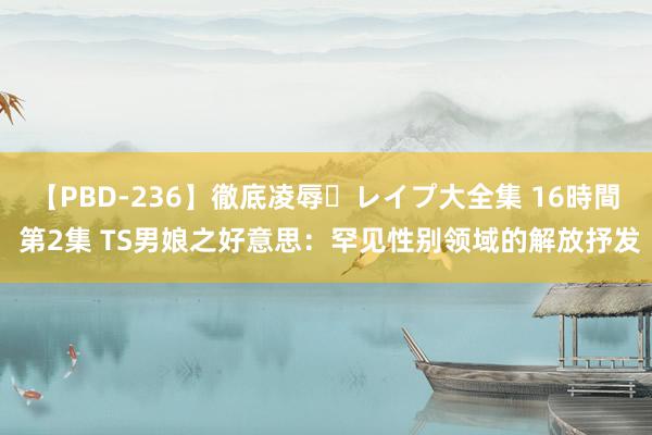 【PBD-236】徹底凌辱・レイプ大全集 16時間 第2集 TS男娘之好意思：罕见性别领域的解放抒发