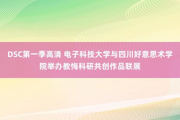 DSC第一季高清 电子科技大学与四川好意思术学院举办教悔科研共创作品联展