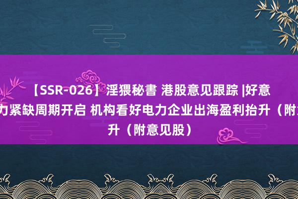 【SSR-026】淫猥秘書 港股意见跟踪 |好意思国电力紧缺周期开启 机构看好电力企业出海盈利抬升（附意见股）