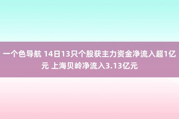 一个色导航 14日13只个股获主力资金净流入超1亿元 上海贝岭净流入3.13亿元