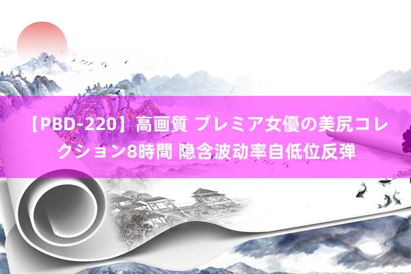 【PBD-220】高画質 プレミア女優の美尻コレクション8時間 隐含波动率自低位反弹