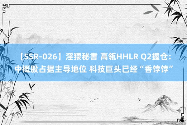 【SSR-026】淫猥秘書 高瓴HHLR Q2握仓：中概股占据主导地位 科技巨头已经“香饽饽”