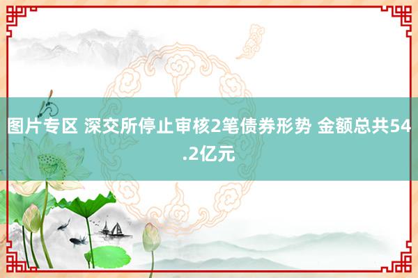 图片专区 深交所停止审核2笔债券形势 金额总共54.2亿元