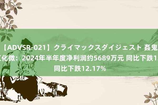 【ADVSR-021】クライマックスダイジェスト 姦鬼 ’10 江化微：2024年半年度净利润约5689万元 同比下跌12.17%