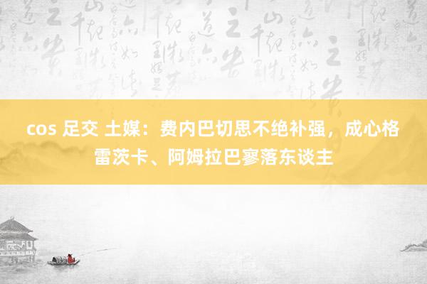 cos 足交 土媒：费内巴切思不绝补强，成心格雷茨卡、阿姆拉巴寥落东谈主