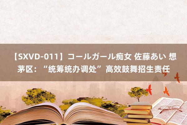 【SXVD-011】コールガール痴女 佐藤あい 想茅区：“统筹统办调处” 高效鼓舞招生责任