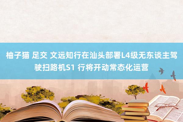 柚子猫 足交 文远知行在汕头部署L4级无东谈主驾驶扫路机S1 行将开动常态化运营