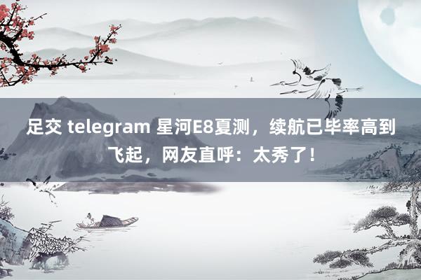 足交 telegram 星河E8夏测，续航已毕率高到飞起，网友直呼：太秀了！