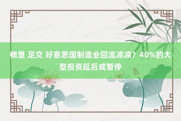 楠里 足交 好意思国制造业回流凉凉？40%的大型投资延后或暂停