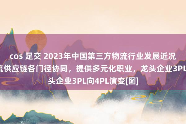 cos 足交 2023年中国第三方物流行业发展近况分析：加强物流供应链各门径协同，提供多元化职业，龙头企业3PL向4PL演变[图]