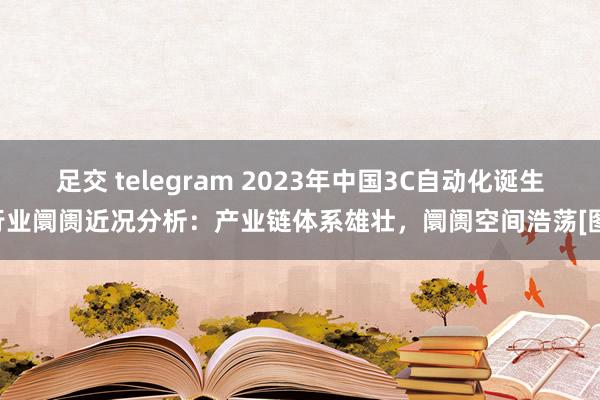 足交 telegram 2023年中国3C自动化诞生行业阛阓近况分析：产业链体系雄壮，阛阓空间浩荡[图]