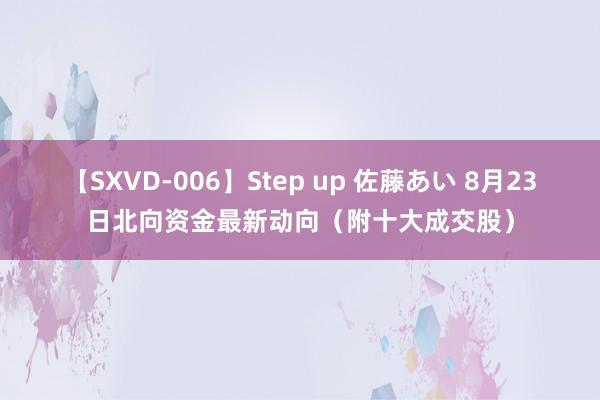 【SXVD-006】Step up 佐藤あい 8月23日北向资金最新动向（附十大成交股）