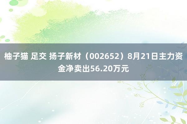 柚子猫 足交 扬子新材（002652）8月21日主力资金净卖出56.20万元