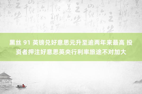 黑丝 91 英镑兑好意思元升至逾两年来最高 投资者押注好意思英央行利率旅途不对加大