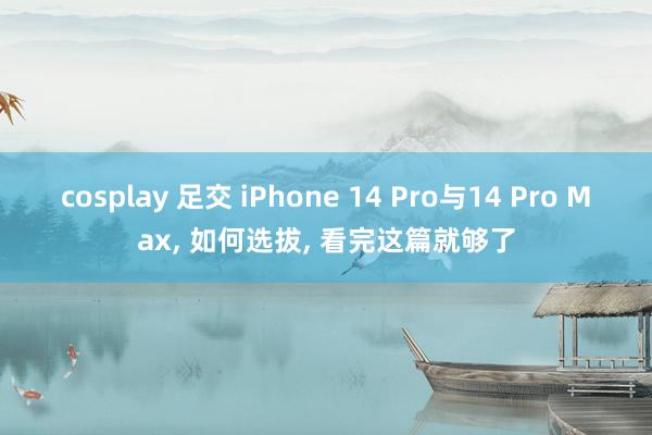 cosplay 足交 iPhone 14 Pro与14 Pro Max, 如何选拔, 看完这篇就够了